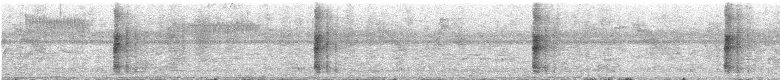 Troglodyte zoné - ML620008788