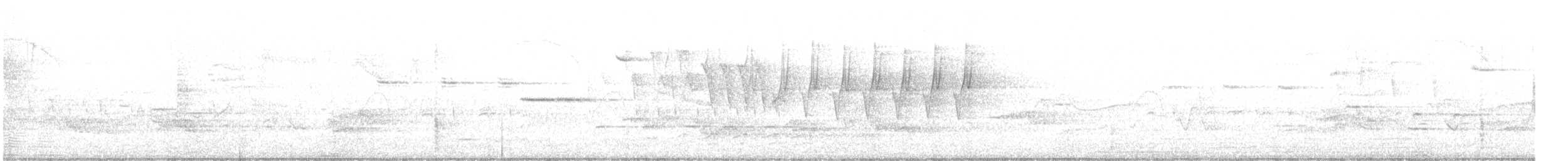 Protonoter Ötleğeni - ML620009532