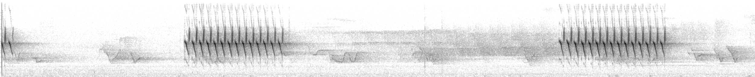 Юнко сірий (підвид hyemalis/carolinensis) - ML620009984