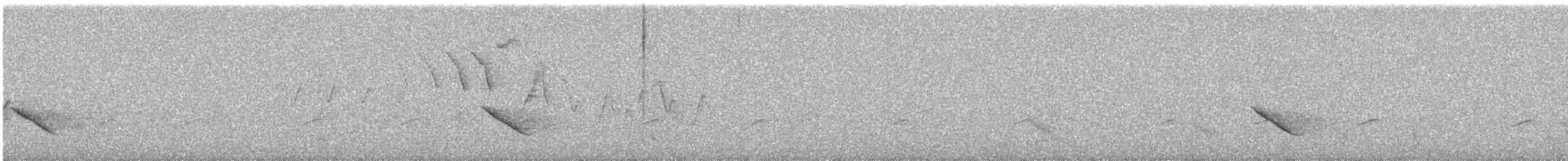 Дрізд-короткодзьоб бурий - ML620010265