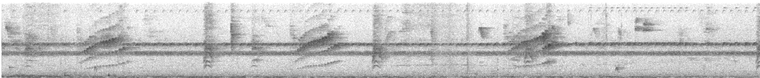 Troglodyte de Sclater - ML620010654