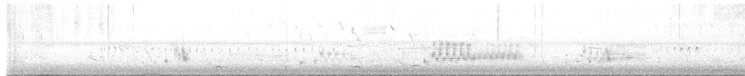 דרורן זהוב - ML620012522