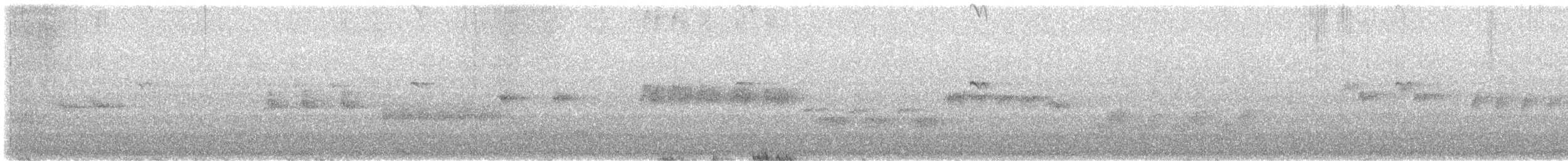 Mirlo Acuático Norteamericano - ML620012863