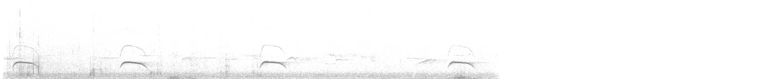 White-crested Elaenia - ML620013390