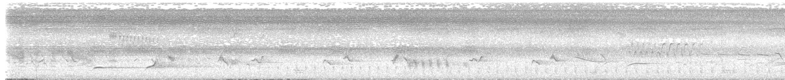 Northern Bobwhite - ML620013773