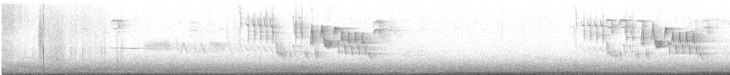 Northern House Wren - ML620014618