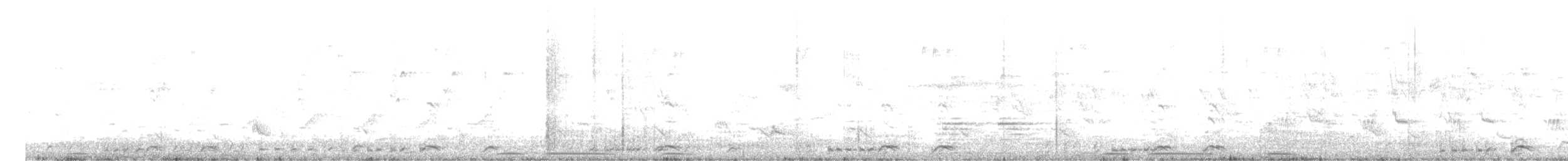 白腹秧雞 - ML620014951