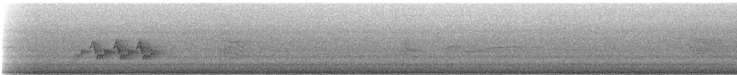 svartbrystparula - ML620015281