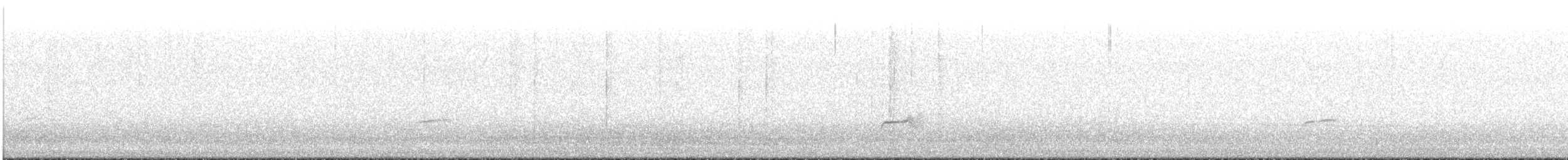 Дрізд-короткодзьоб Cвенсона - ML620015632