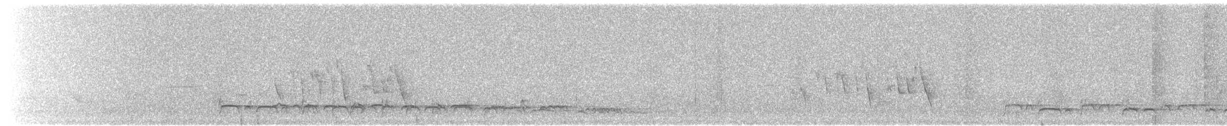 White-eared Puffbird - ML620016091