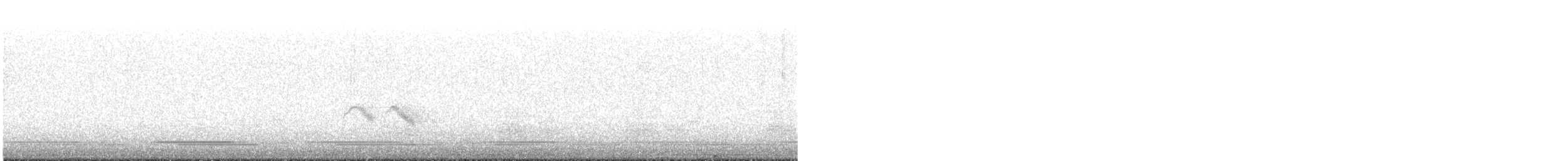 Gray-cheeked Thrush - ML620016332