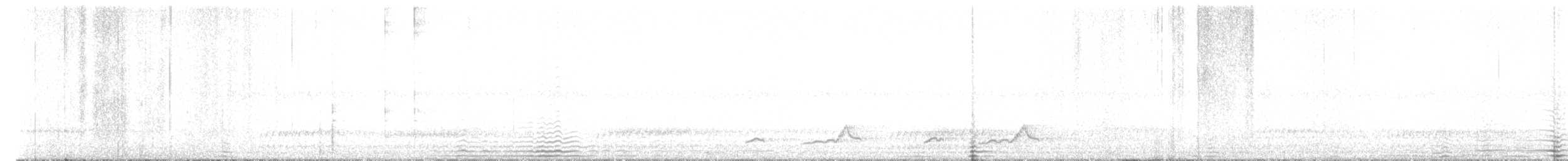 Schwarzkehl-Nachtschwalbe - ML620016500