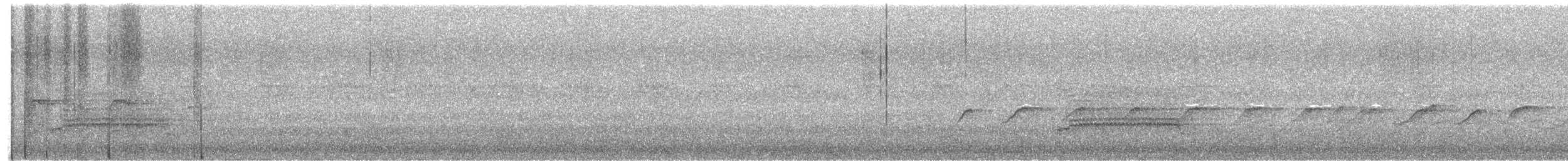 Набережник плямистий - ML620016565