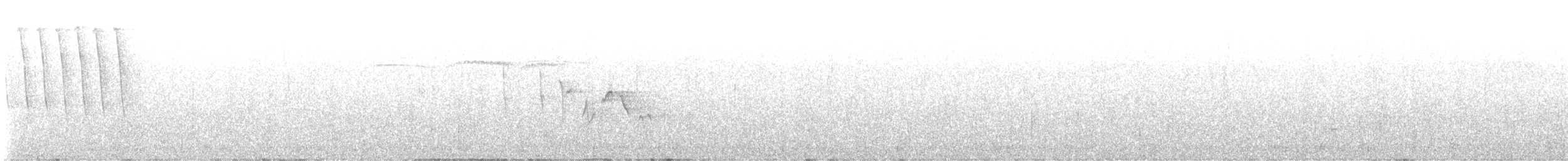 Болотянка строкатовола - ML620017001