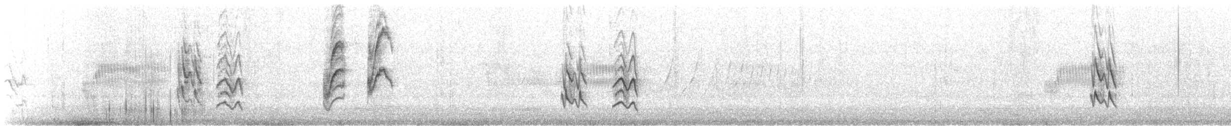 leskot modrošedý [skupina obscura] - ML620017180