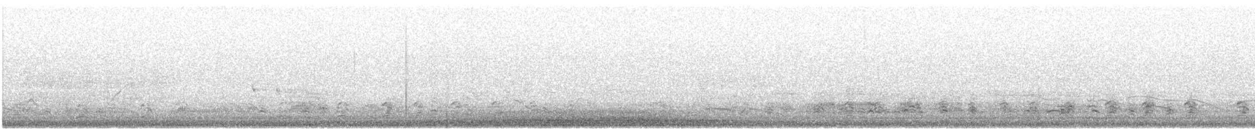 puštík obecný - ML620017530