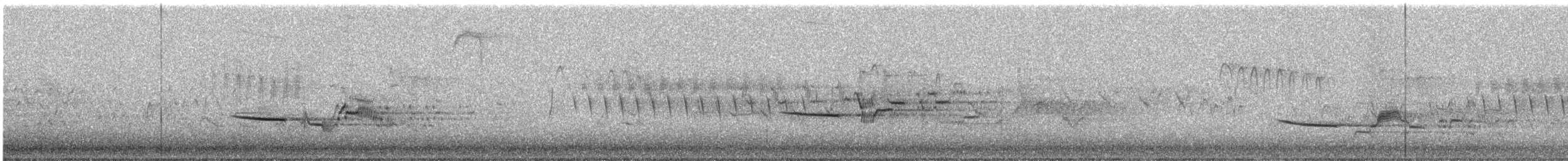 Дрізд-короткодзьоб плямистоволий - ML620017557