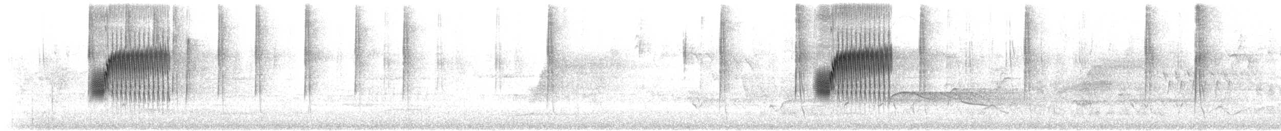 Тауї плямистий [група oregonus] - ML620017574