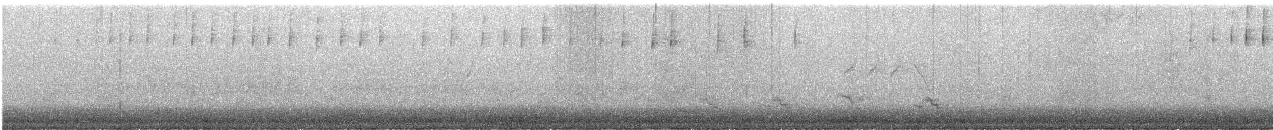 סבכון פסים - ML620017774