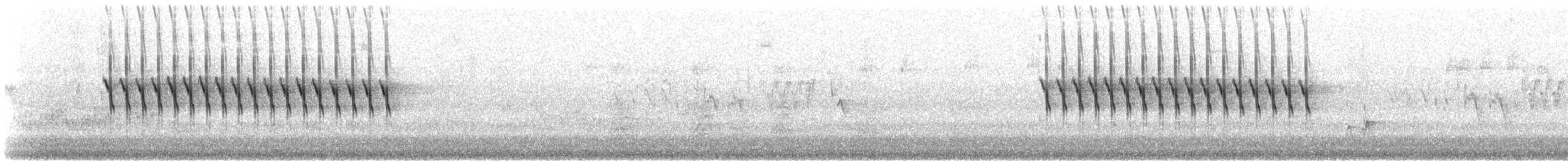Юнко сірий [група oreganus] - ML620017813