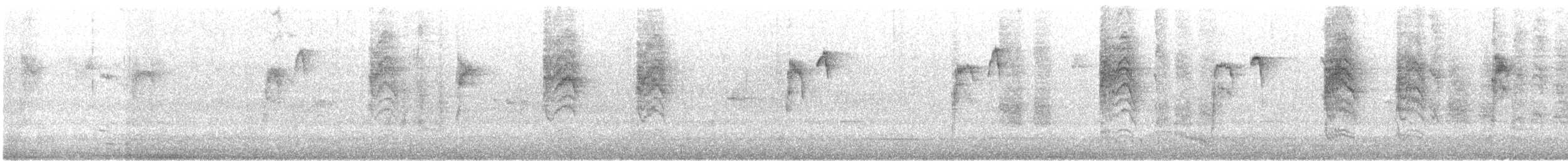 nordmyggsmett (obscura gr.) - ML620018491