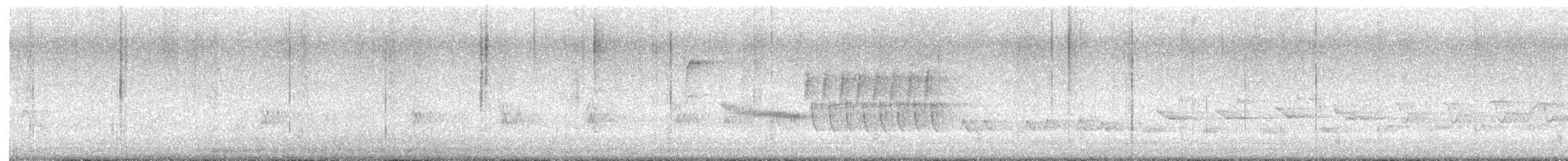 Bewick's Wren - ML620018717