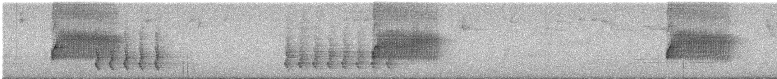 Fleckengrundammer [oregonus-Gruppe] - ML620019186