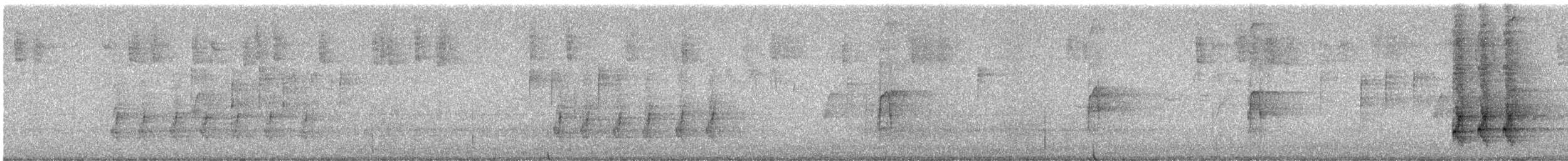 Steller Kargası [stelleri grubu] - ML620019193