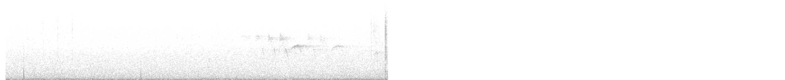 Townsend's x Hermit Warbler (hybrid) - ML620019771