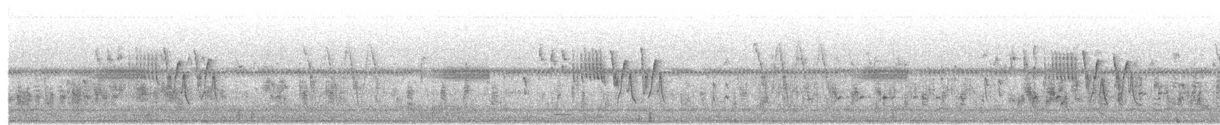 Buscarla de Middendorff - ML620020216