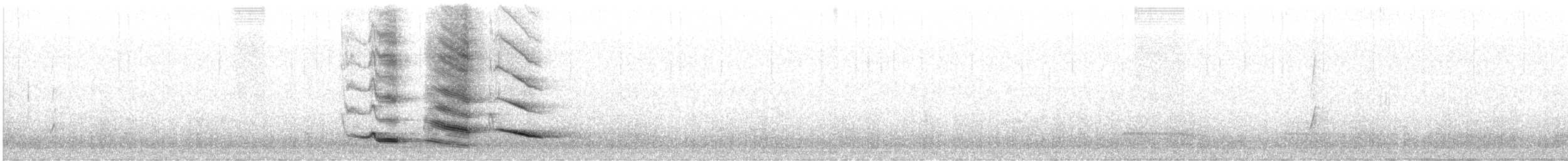 Flötenkrähenstar - ML620021383