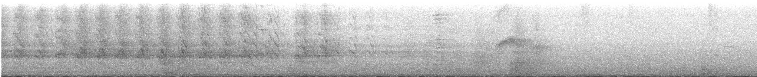 Попугай Крамера - ML620021454