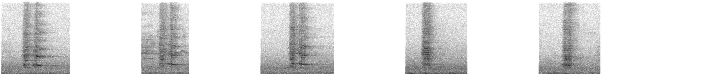 rødflikhonningeter - ML620021576