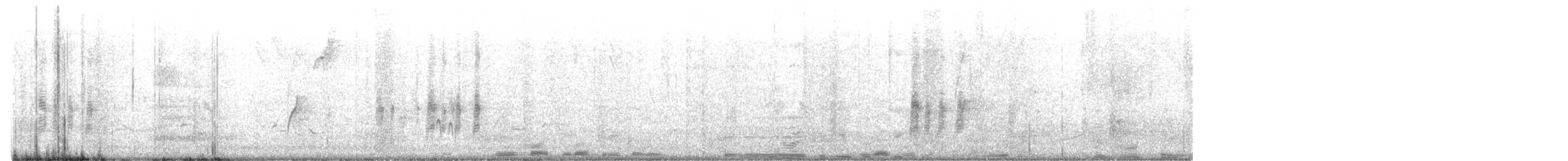 Antillennachtschwalbe - ML620022225
