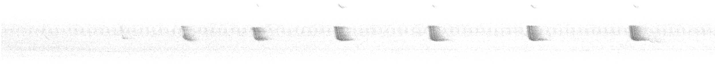 Colibri d'Angèle - ML620022645