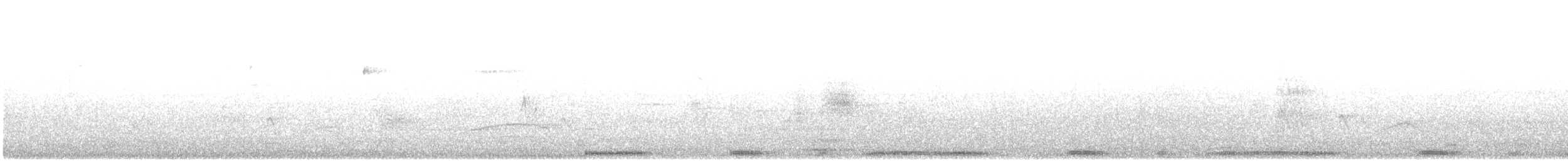 Темнохвостый голубь - ML620022798