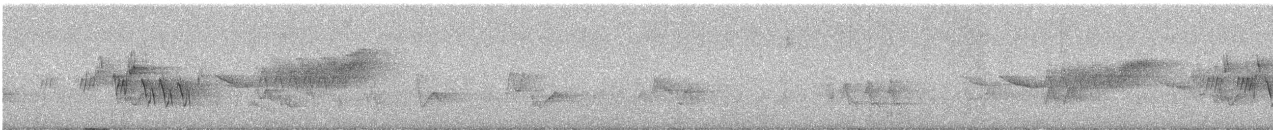 svartbrystparula - ML620023433