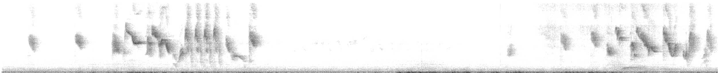 Lavandera Blanca - ML620023447