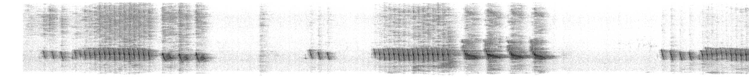 Txorru arrunta - ML620023551