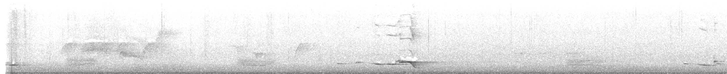 svartnakkepirol - ML620024583