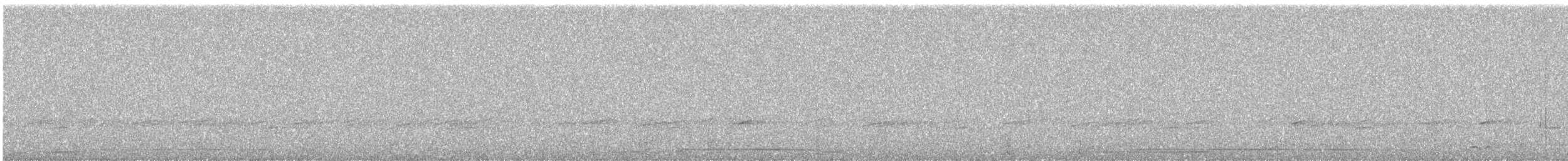 Черноклювая гагара - ML620024982