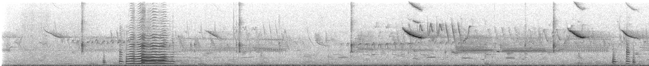 Cisne Trompetero - ML620025256