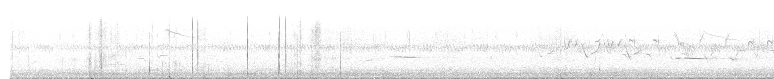 Chouette rayée - ML620025367