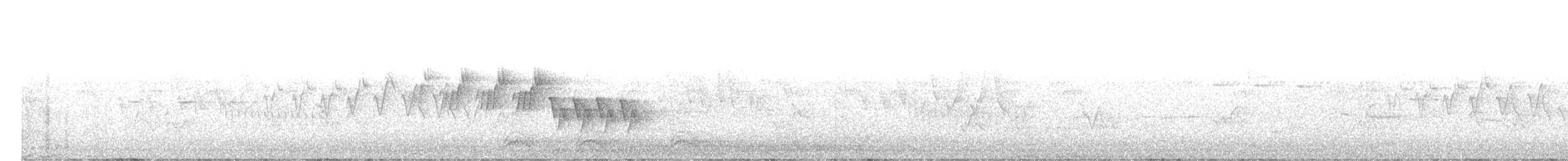 svartbrystparula - ML620026039