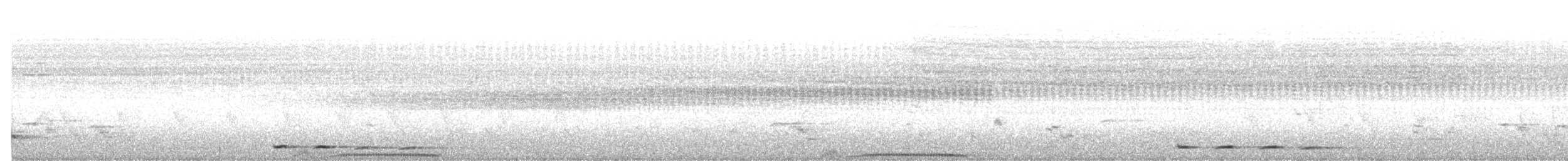 holub kovový - ML620027643