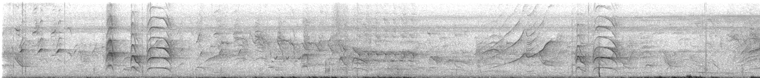 Büyük Kiskadi Tiranı - ML620028062