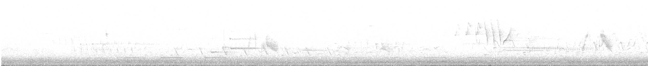 Піві-малюк вербовий - ML620028297