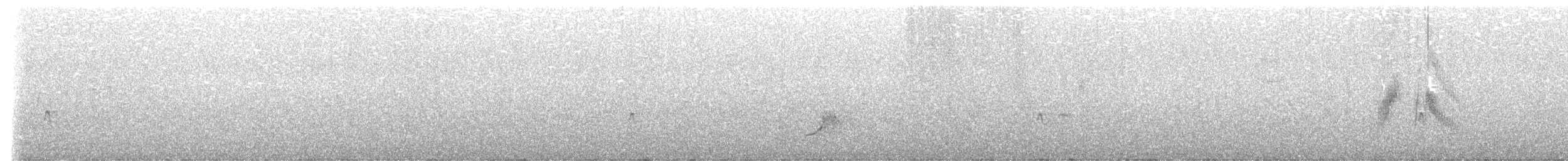 Ивовый мухолов - ML620028498