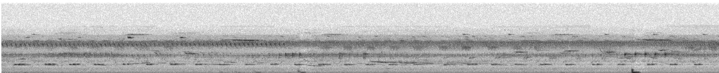 Dschungelnachtschwalbe - ML620028733