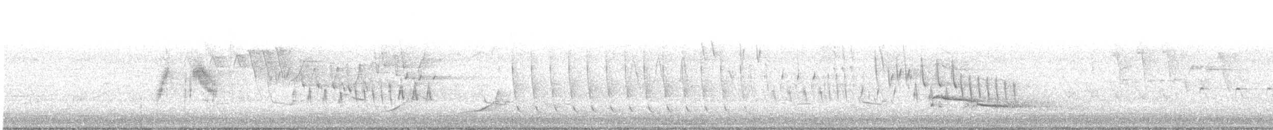tyranovec vrbový - ML620028907